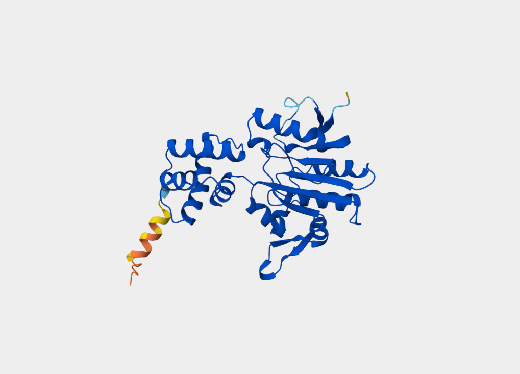 Chemotaxis protein methyltransferase